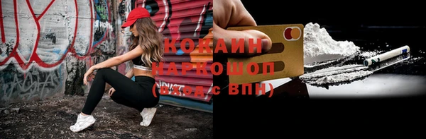 индика Инсар