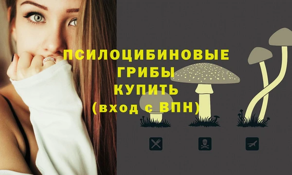 spice Сатка