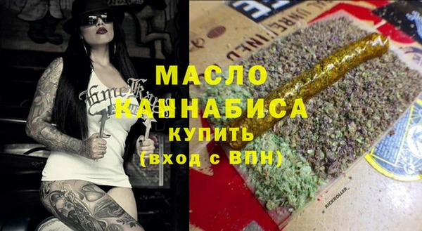 индика Инсар