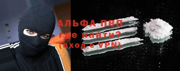 сатива Инта