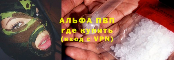 индика Инсар