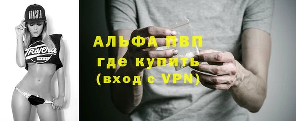 сатива Инта