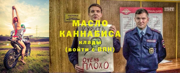 индика Инсар