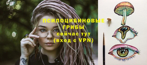 сатива Инта