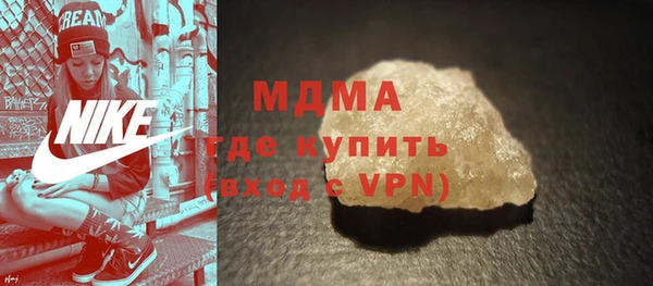 индика Инсар