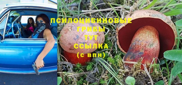 spice Сатка